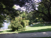 Park, Copenhagen