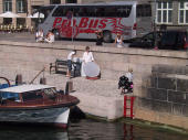 photo shoot, Copenhagen