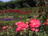 garden, Copenhagen