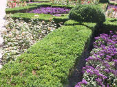 garden, Copenhagen