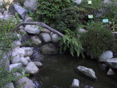 garden, Copenhagen