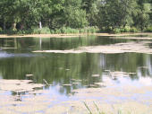 lake, Drottingholm