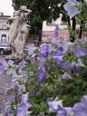 flowers + statue, Stockholm