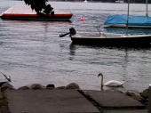 Zurich