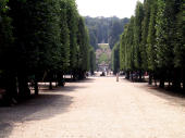 Vienna