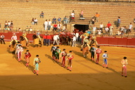 Bull Fight, Seville
