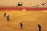 Bull Fight, Seville