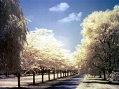 Fairmount Park