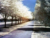 Fairmount Park