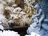 Fairmount Park