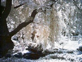 Fairmount Park