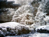 Fairmount Park