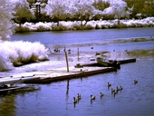Boat House Row