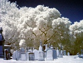 Laurel Hill Cemetery, Philadelphia