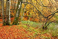 Plitvice Lakes Croatia