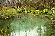 Plitvice Lakes Croatia