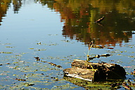 Centenial Lake