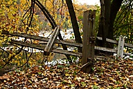 Fence