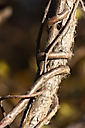 John Heinz Wildlife Refuge