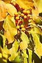 John Heinz Wildlife Refuge