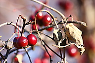 John Heinz Wildlife Refuge
