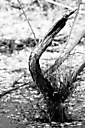 John Heinz Wildlife Refuge