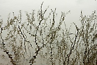 reflection