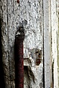 Abandoned House, Fort Washington