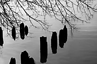 Delaware River