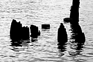 Delaware River