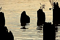 Delaware River