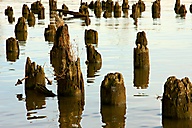 Delaware River