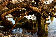 Delaware River