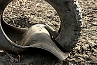 Old Tire