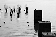 Delaware River