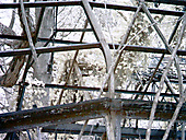Greenhouse, Chestnut Hill