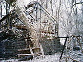Greenhouse, Chestnut Hill