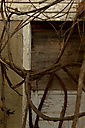 Abandoned House, Bulter Pk