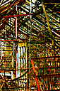 Greenhouse, Chestnut Hill