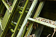 Greenhouse, Chestnut Hill