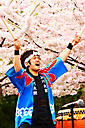 Cherry Blossom Festival