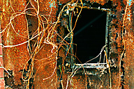 Abandoned Distillery, Linfield