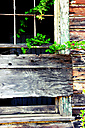 Abandoned Distillery, Linfield