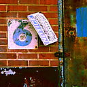 Abandoned Distillery, Linfield