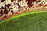 Abandoned Factory, Nicolet Asbestos
