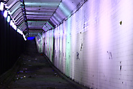 Spring Garden Tunnel