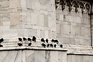 Milan, Italy