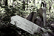 Abandoned Jewish Cemetery, Gladwyne
