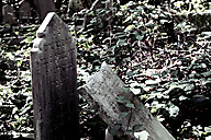 Abandoned Jewish Cemetery, Gladwyne