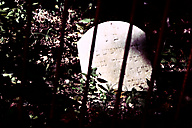 Abandoned Jewish Cemetery, Gladwyne